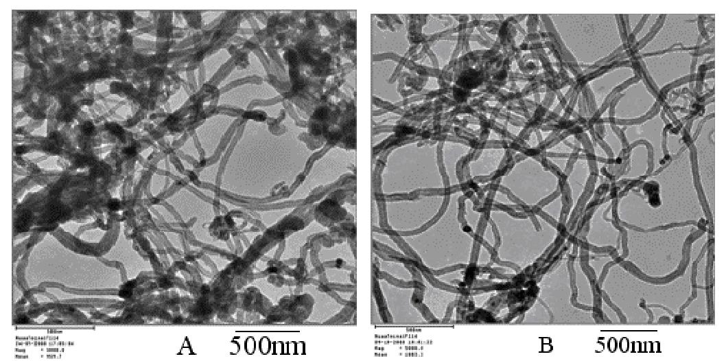 碳納米管 TEM 圖像（ A ）原始 MWCNT ；（ B ）等離子體處理 MWCNTs