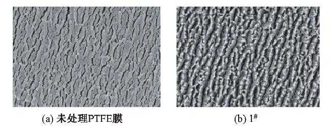 等離子體處理鐵氟龍的掃描電鏡照片