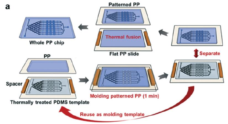 PP 微流控芯片示意圖