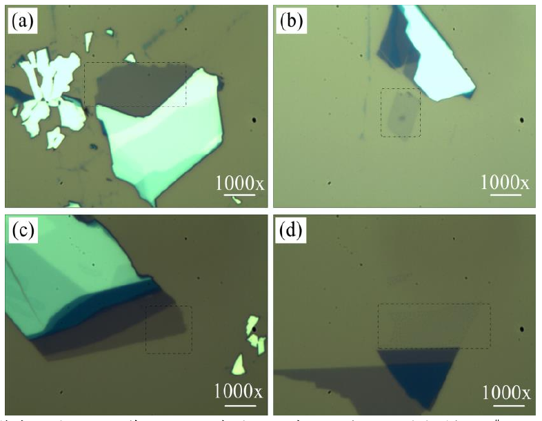 圖 3.3 低溫氧等離子體處理后單層 M o S 2 薄膜的光學(xué)顯微鏡圖。（a）樣品 1 # 的光鏡圖，（b）樣 品 2 # 處理 1 0 s 的光鏡圖，（ c）樣品 3 # 處理 2 0 s 的光鏡圖和（ d）樣品 4 # 處理 4 0 s 的光鏡圖。