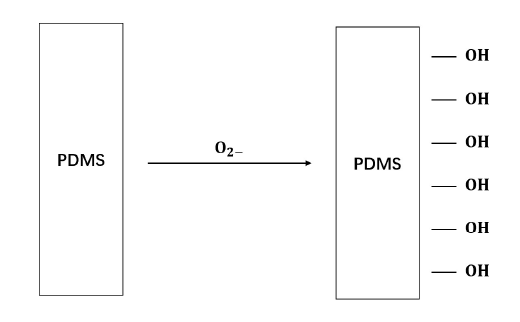 氧等離子處理PDMS示意圖